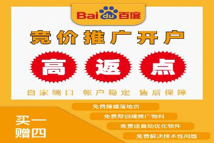 SEM推广竞价案例：提升广告投放效果